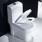 1.0 जीपीएफ सिरेमिक अमेरिकी मानक एक टुकड़ा दोहरी फ्लश शौचालय कमोड